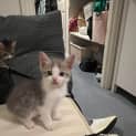 Photo of Bunny
