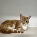Photo of Mia