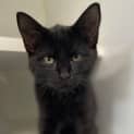 Photo of Storm