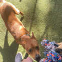Photo of Minetto
