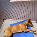 Photo of Minetto