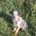 Photo of Milou 🥰