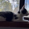 Photo of Crumpet