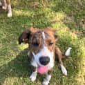 Photo of Axel