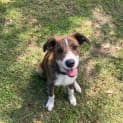 Photo of Axel