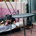 Photo of Superfry