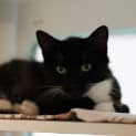 Photo of Effie