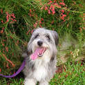 Photo of Spritz