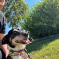 Photo of Tipsy