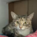 Photo of Willow