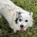 Photo of Bobbie