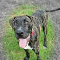 Photo of Octavius