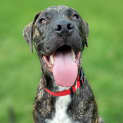 Photo of Octavius