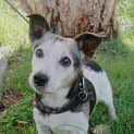 Photo of Max