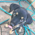Photo of Attitude