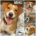 Photo of Miki 