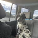 Photo of Smudgy