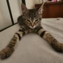 Photo of Tabasco