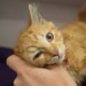 Photo of Gus