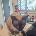 Photo of Lucy