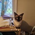 Photo of Lucy