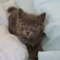 Photo of Blinky