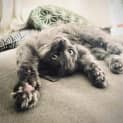 Photo of Blinky