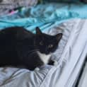 Photo of Sarah