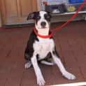 Photo of Jasmin