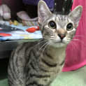 Photo of Velma