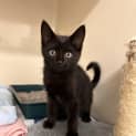 Photo of Astro