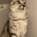 Photo of Captain 