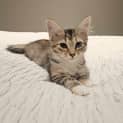 Photo of Nita