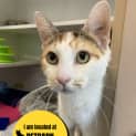 Photo of Leela