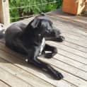 Photo of Tootsie