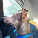 Photo of Timmy