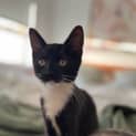 Photo of Luna