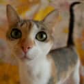 Photo of Mabel