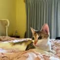 Photo of Mabel