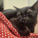 Photo of Betty