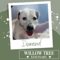 Photo of Diamond
