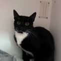 Photo of Arlo