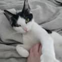 Photo of Lilah