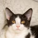 Photo of Murphy
