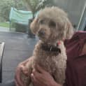 Photo of Twizzle & Dizzle
