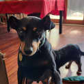 Photo of Circe & Feliz