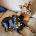 Photo of Circe & Feliz