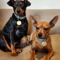 Photo of Circe & Feliz