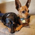 Photo of Circe & Feliz