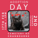 Photo of Finn Balor **2nd Chance Cat Rescue**
